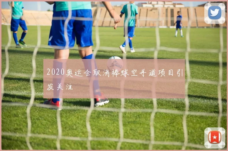 2020奥运会取消棒球空手道项目引发关注