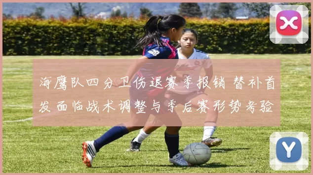 海鹰队四分卫伤退赛季报销 替补首发面临战术调整与季后赛形势考验