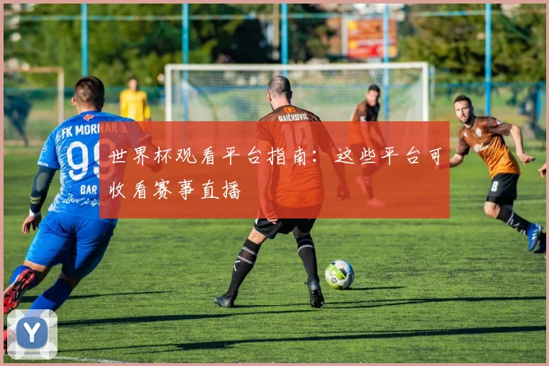 世界杯观看平台指南：这些平台可收看赛事直播