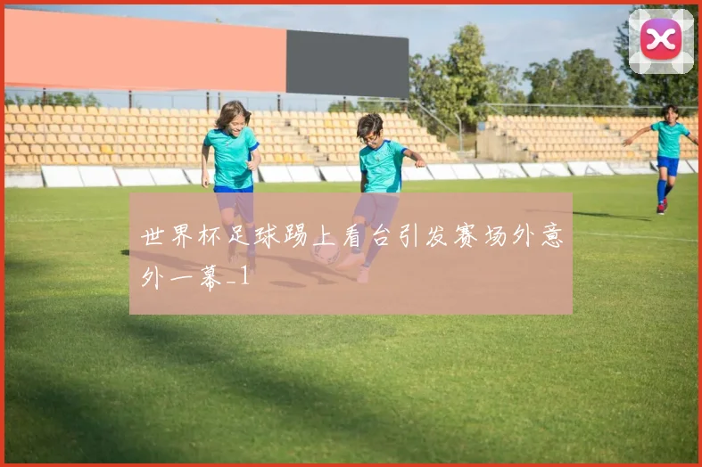 世界杯足球踢上看台引发赛场外意外一幕_1