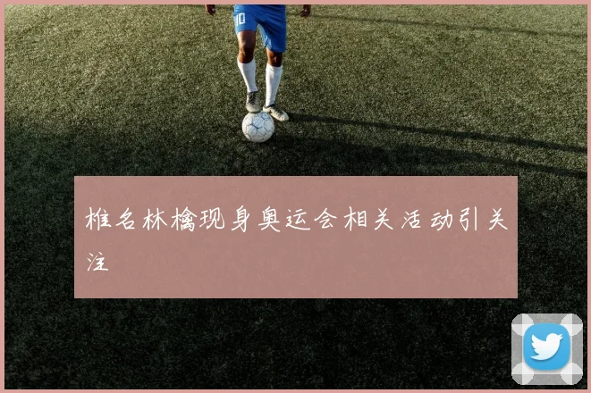 椎名林檎现身奥运会相关活动引关注