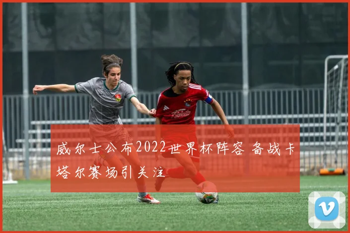 威尔士公布2022世界杯阵容 备战卡塔尔赛场引关注